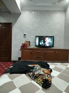Sary Arka - 37
