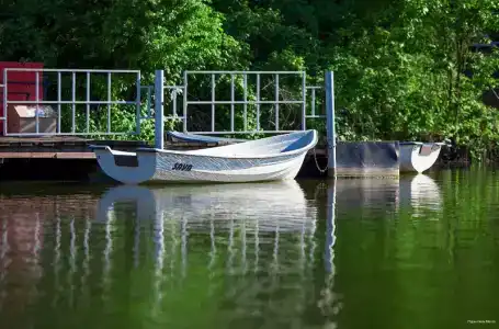 Mechta Park-Hotel - 13