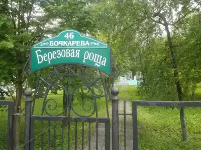 Beryozovaya roshcha - 1