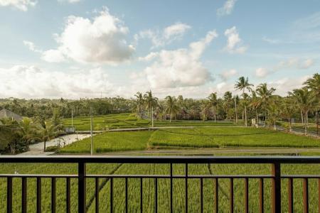Paon Desa Ubud - 41