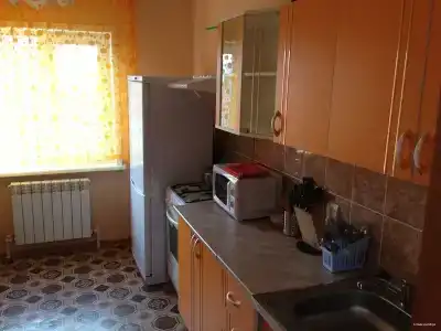 Altayskoe More - 66