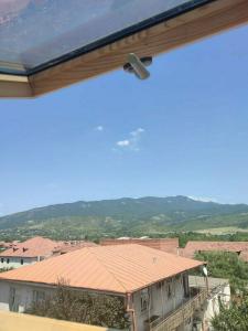 Aragvi - 22