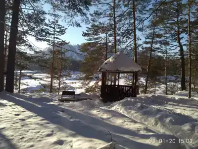ЛЮБАВА - 31
