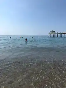 Selectum Family Comfort Side - 34