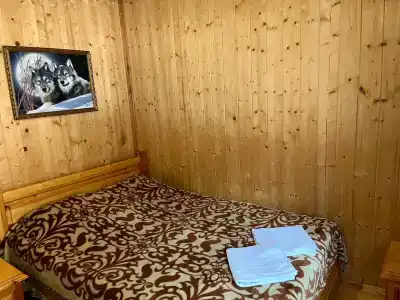 Сокол - 49