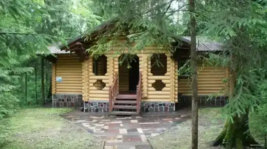 Эко Березовая роща - 82