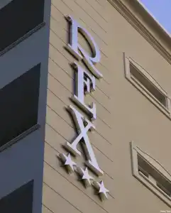 Rex - 8