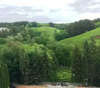 Sanatorij "Rodnik" - 39