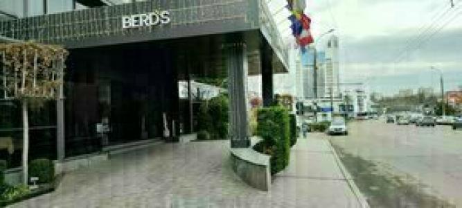 BERD'S - 34