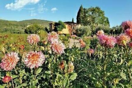 Villa La Massa - 39