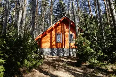 Zelenyy gorodok - 10