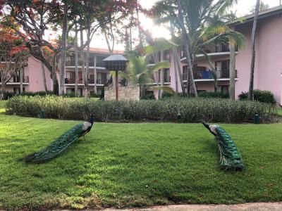 Natura Resorts - 22