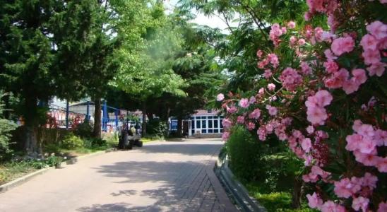 Sanatoriy Shirak - 2