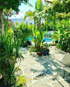 Artunc Bodrum - 37