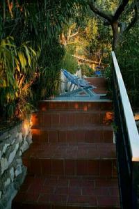Baia Serena - 49