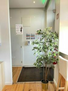 MyStay Porto Centro - 38
