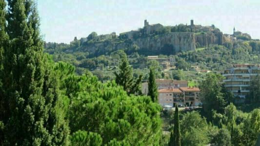 Oasi Dei Discepoli - 29