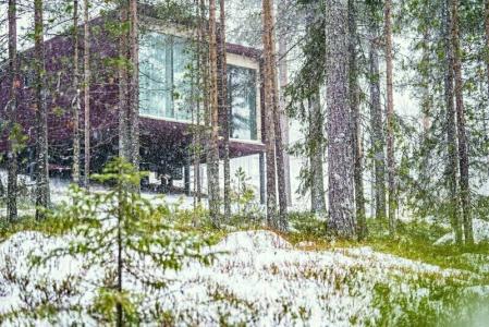 Arctic TreeHouse - 47