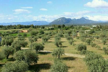 Baia Marina - 39