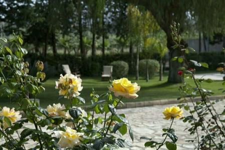 B&B Villaseta - 31