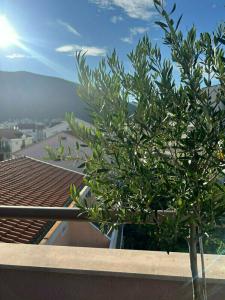 Garni Fineso - 19