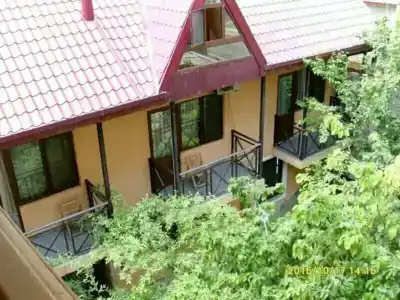 Nitsa - 23