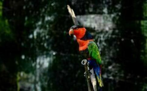 Cavinton Malioboro Yogyakarta by Tritama Hospitality - 40