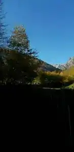 Shaulini - 26