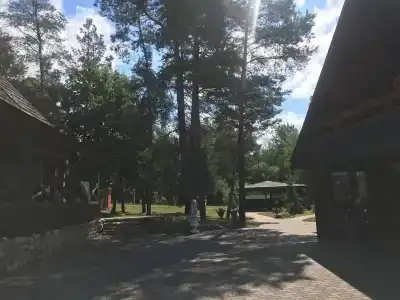 Liūto kalnas - 4