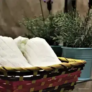 Provans Boutique - 41