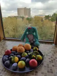Д` ВДНХ - 84