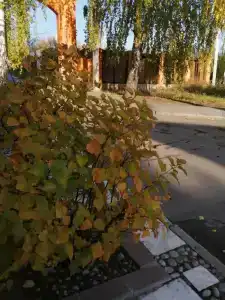 Patio Mini-Hotel - 25