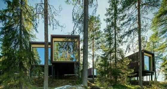 Arctic TreeHouse - 49