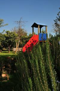 Tenuta Santa Tecla - 43