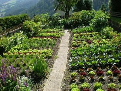Almdorf Haidenberg - 17