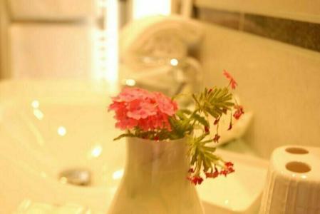 B&B Mini Incity-Close Train Station and Port- - 17