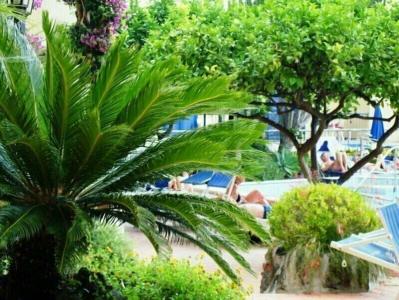 Royal Terme - 21
