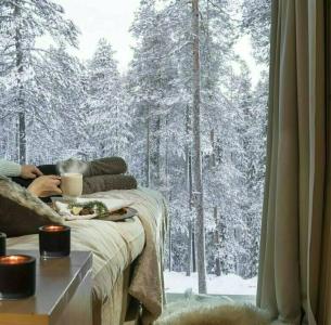 Arctic TreeHouse - 17