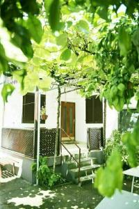 Hostel Center - 25