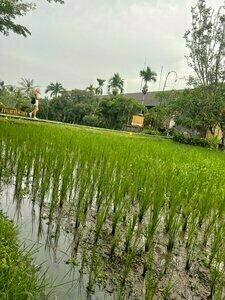 Arya Arkananta Resort and Spa  - 48