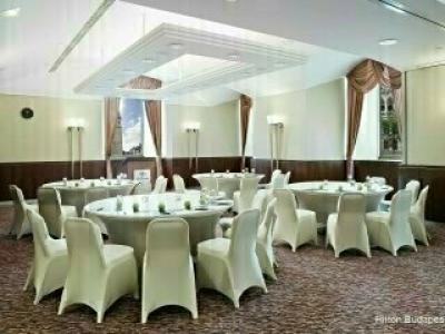 Hilton Budapest - 48