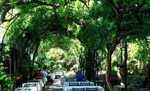 Antica Locanda Montin - 27