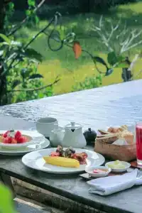 Nata Ubud - 42
