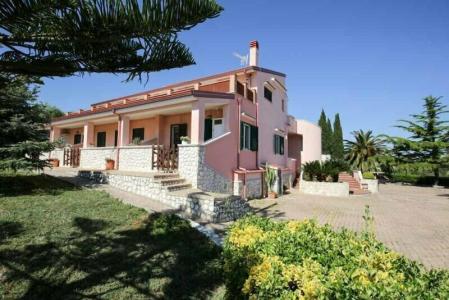 B&B Hibiscus - 49