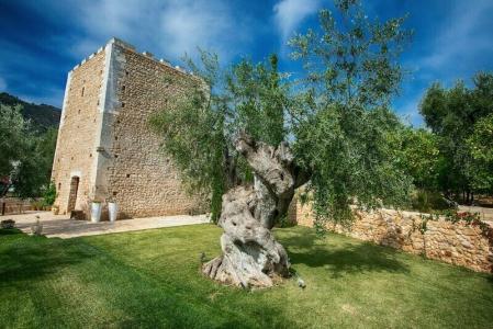 Torre Santamaria - 46