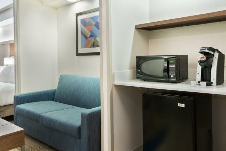 Holiday Inn Express & Suites NEAREST UNIVERSAL ORLANDO by IHG - 19