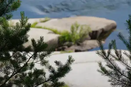 Zaimka Ryibnaya - 33