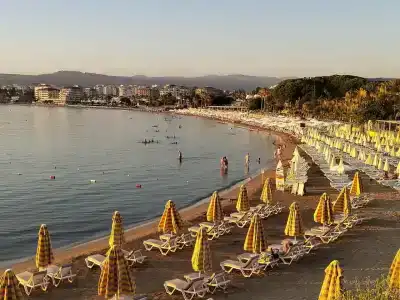 Gold Island Selected - 81