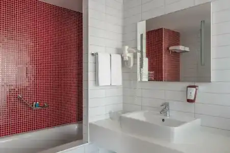 Cosmos, a member of Radisson Individuals - 13