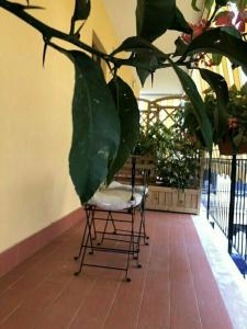 B&B la Rada - 49